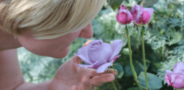Scent on the brain: Decline in olfactory abilities can signal conditions such as Alzheimer’s
