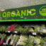 organic scaled