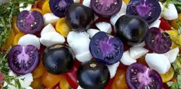 purple galaxy tomatoes