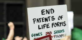 Viewpoint: Why the European Union Commission’s proposal to limit patents on gene-edited crops would rewrite global intellectual property rights