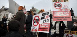 Green activist setbacks — Internal divisions and zero-compromise approach to biotechnology highlights recent campaign failures by European environmental activists