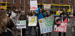 Viewpoint — Part IV: Anti-GM protests spread fear and ultimately protect pet industries while denying Africa opportunities to advance