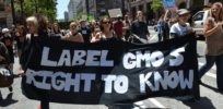 Viewpoint: Anti-GMO arguments seem silly after 28 years of false narratives about health harms and and genetic contamination