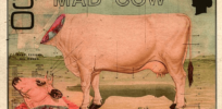 Nightmare germ: A look back at terrifying Mad Cow Epidemic that began in the 1980s