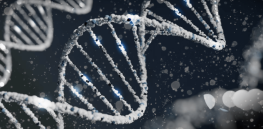 Unique use of CRISPR gene editing is paving the way to treat cancer