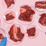 lab grown meat research kelly schultz lehighuniversity main