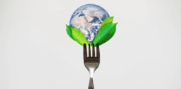 green food environmental conc