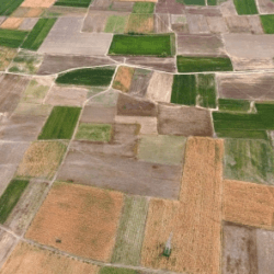 medium land use