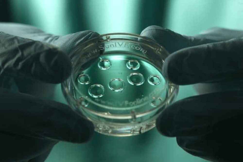 Standpunkt: Die Wissenschaftsgemeinschaft drängt Deutschland, das Gesetz aufzuheben, das Reproduktionstechnologien und Embryonenforschung blockiert