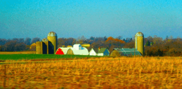 The future of farming: Resilience vs Efficiency