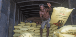 Viewpoint: Sri Lanka's 'tragic' legacy — To encourage sustainable farming, countries cannot ignore food production and socioeconomic trade-offs