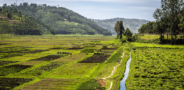 rw a tool for sustainable land use management in rwanda homepage x