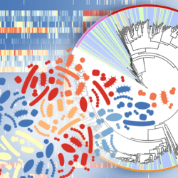 skin microbiome x final