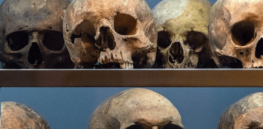 Our brains have gotten smaller over the last 100,000 years. What’s going on?