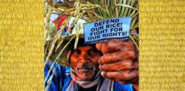 Philippine scientists involved in development of vitamin A enhanced Golden Rice lament attacks by anti-biotech NGOs derailing rollout