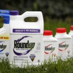 roundup cancer lawyer monsanto roundup lawyer weed killer cancer lawyer