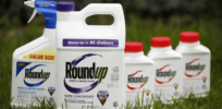 roundup cancer lawyer monsanto roundup lawyer weed killer cancer lawyer