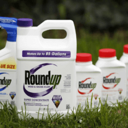roundup cancer lawyer monsanto roundup lawyer weed killer cancer lawyer