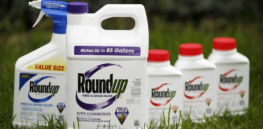 roundup cancer lawyer monsanto roundup lawyer weed killer cancer lawyer