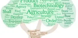 usda agbiotech tree