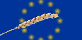 Viewpoint: Optimism fades that Europe will significantly reform its current near-ban on gene-edited crops