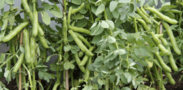 d fdfd e d ebb ffbf fbd