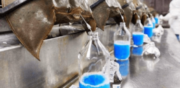 Why this endangered horseshoe crab species is drained of blue blood to save human lives