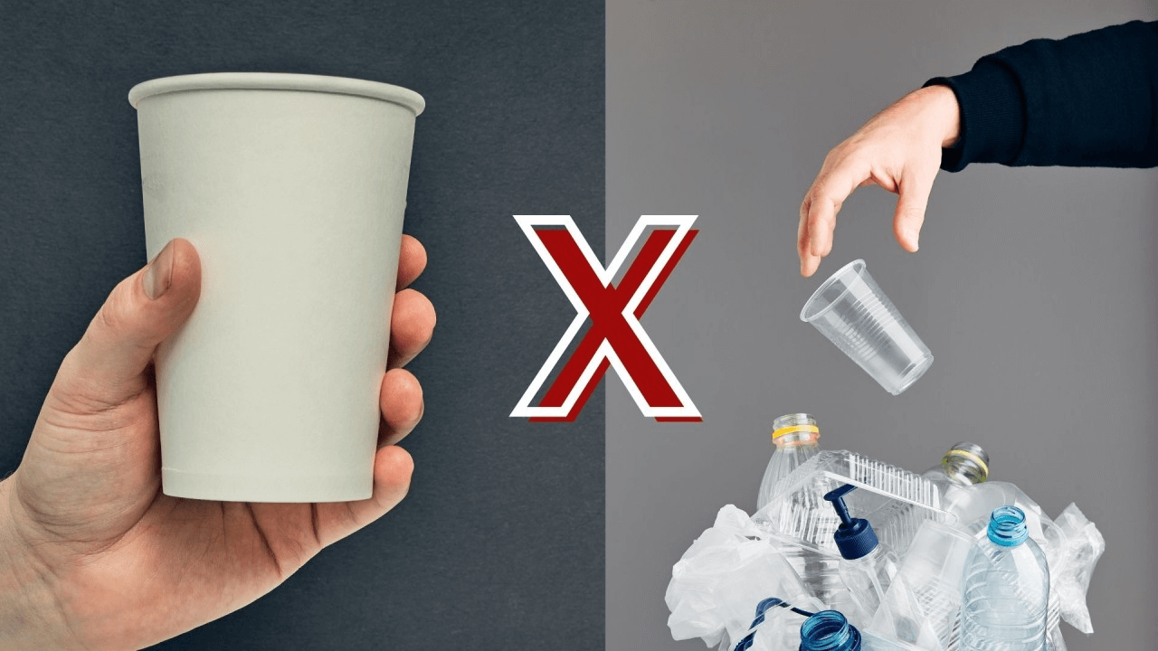 Are paper cups better for the environment than plastic cups? The answer