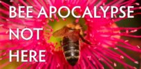 Video: John Stossel and GLP’s Jon Entine on the faux bee-apocalypse—How environmental groups and the media manufacture chemical scares