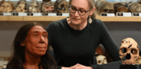 neanderthal mb d c