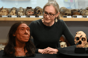 neanderthal mb d c