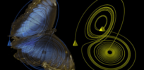 The butterfly effect: Can a fluttering insect in Canada unleash a hurricane in the Pacific? Understanding chaos and consequences