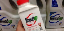 Viewpoint: ‘Bayer is desperate to put glyphosate litigation in the rear-view mirror’ — and they’re considering splitting the company in two to solve the problem