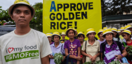 Viewpoint: Replace Greenpeace’s ‘Save the Whales' motto with ‘Blind the Children’