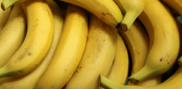 Bananas that don't turn brown? Philippines approves CRISPR-edited fruit, fighting battle to reduce food waste