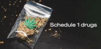 Should marijuana be reclassified by the government as less dangerous than heroin?