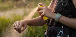 Viewpoint: Chemophobic demonizing of DEET — Boston Museum of Science’s fact-free endorsement of ’non chemical’ insect repellent alternatives
