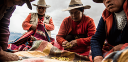 Gene editing could revolutionize sustainable food production in Peru
