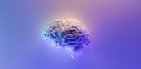 Viewpoint: Would super-intelligent AI find humans boring?