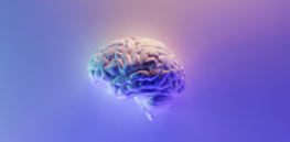 Viewpoint: Would super-intelligent AI find humans boring?