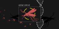 Malaria and Africa: Could gene-edited gene drives contain the scourge or are they an ecological threat and a boon to global corporations? 