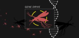 Malaria and Africa: Could gene-edited gene drives contain the scourge or are they an ecological threat and a boon to global corporations? 