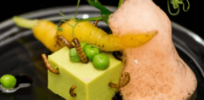Gourmet dinner crafted from edible insects? Despite the 'eew factor,' taste profiles are promising