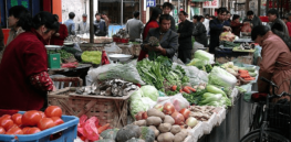 98% of Chinese consumers are willing to eat more plant-based foods. What's holding them back?