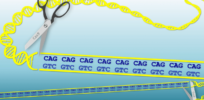 Which diseases are next on the horizon for CRISPR gene editing treatments?