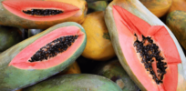 Viewpoint: History of the transgenic Rainbow papaya shows that ‘sometimes it is unethical to ignore or discard GM technologies’