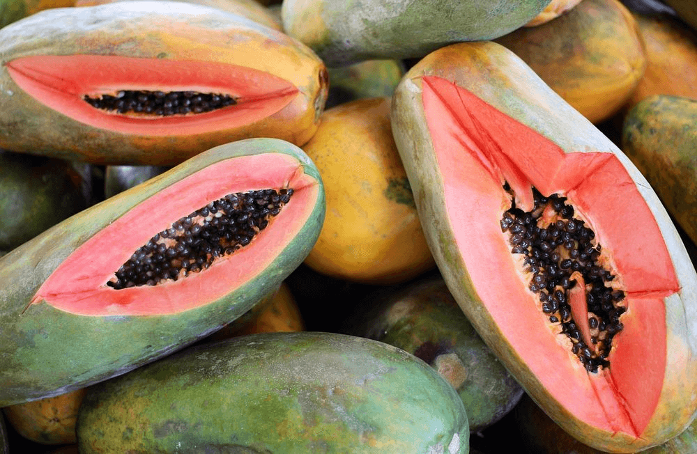 Viewpoint History of the transgenic Rainbow papaya shows that