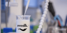 Milk without cows? As bird flu crisis persists, biotechnology may offer safer workaround
