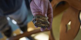 What can Chesapeake Bay tell us about how and when humans first made it to the Americas?
