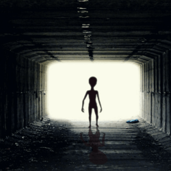 Grey giants or little green men? If there is intelligent alien life on other planets, what might it look like?